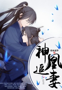 慕容揽月时昼小说阅读免费